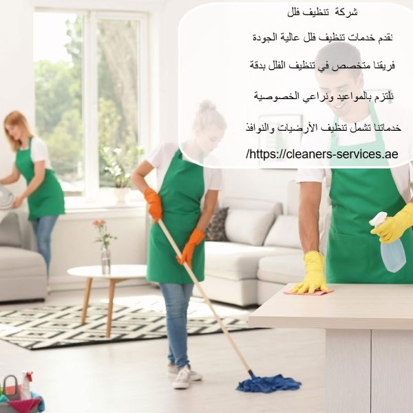 شركة تنظيف فلل