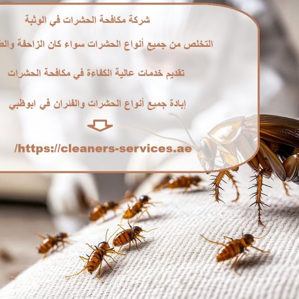 شركة مكافحة الحشرات في الوثبة