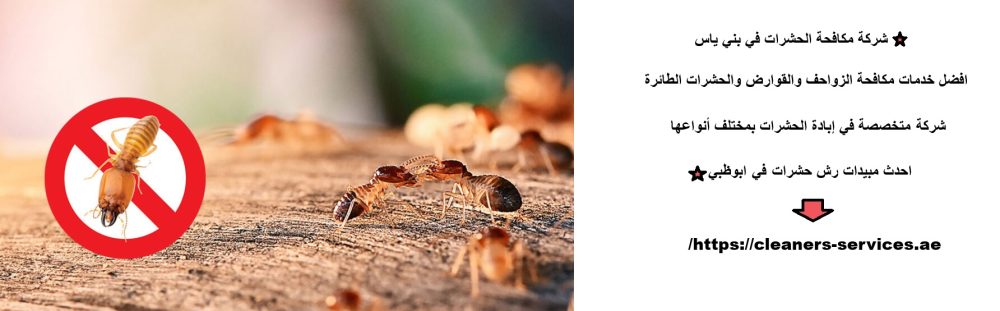 شركة مكافحة الحشرات في بني ياس