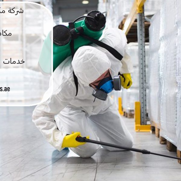 شركة مكافحة حشرات في الفلاح